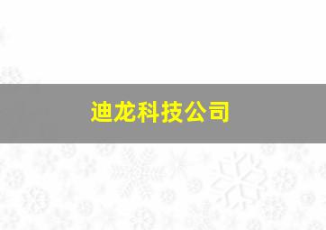 迪龙科技公司