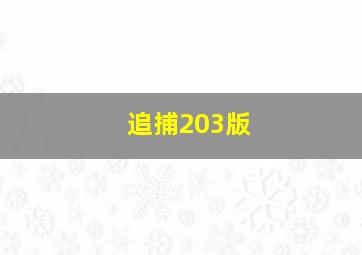 追捕203版