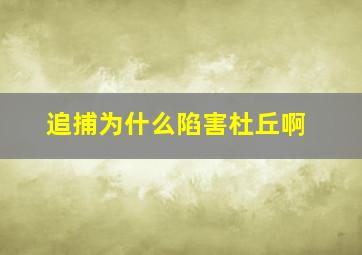 追捕为什么陷害杜丘啊