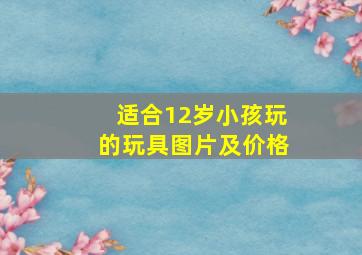 适合12岁小孩玩的玩具图片及价格