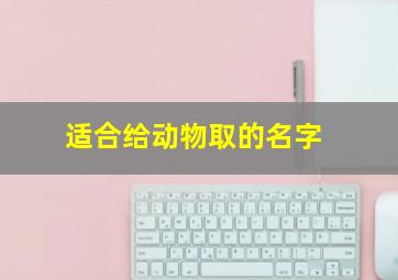 适合给动物取的名字