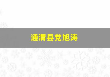 通渭县党旭涛