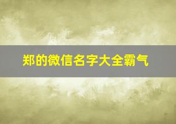 郑的微信名字大全霸气