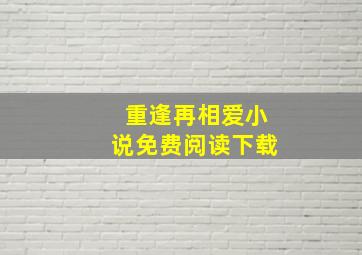 重逢再相爱小说免费阅读下载