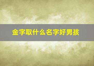 金字取什么名字好男孩