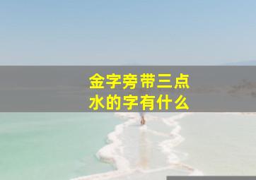 金字旁带三点水的字有什么