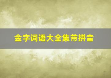 金字词语大全集带拼音