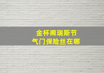 金杯阁瑞斯节气门保险丝在哪