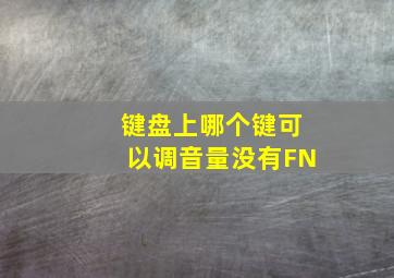 键盘上哪个键可以调音量没有FN