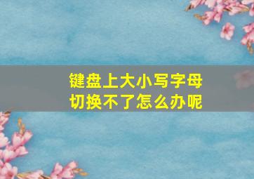 键盘上大小写字母切换不了怎么办呢