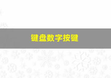 键盘数字按键