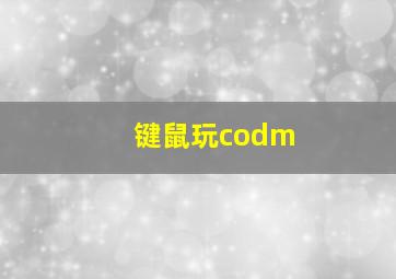 键鼠玩codm