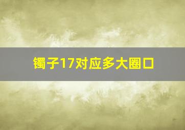 镯子17对应多大圈口