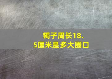 镯子周长18.5厘米是多大圈口