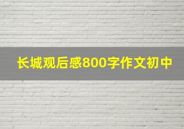 长城观后感800字作文初中