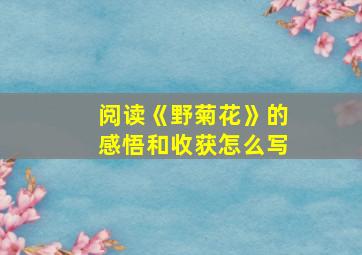 阅读《野菊花》的感悟和收获怎么写