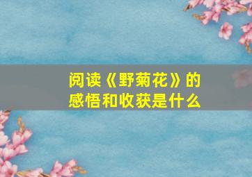 阅读《野菊花》的感悟和收获是什么