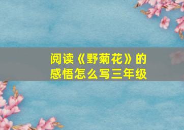 阅读《野菊花》的感悟怎么写三年级