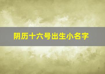 阴历十六号出生小名字