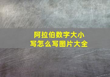 阿拉伯数字大小写怎么写图片大全