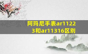 阿玛尼手表ar11223和ar11316区别