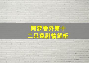 阿萝番外第十二只兔剧情解析