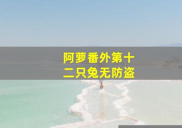 阿萝番外第十二只兔无防盗