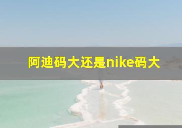 阿迪码大还是nike码大