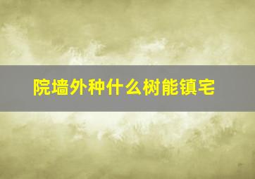 院墙外种什么树能镇宅