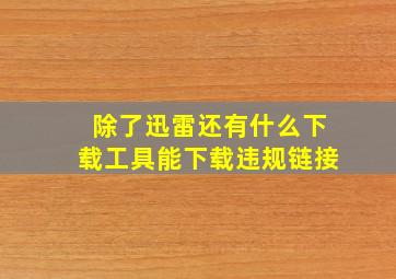 除了迅雷还有什么下载工具能下载违规链接