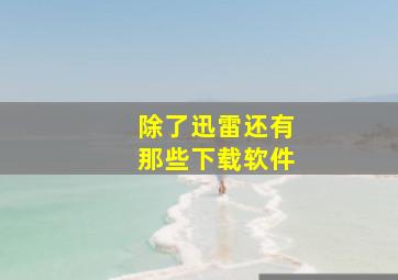 除了迅雷还有那些下载软件