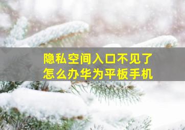 隐私空间入口不见了怎么办华为平板手机