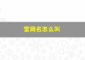 雪网名怎么叫