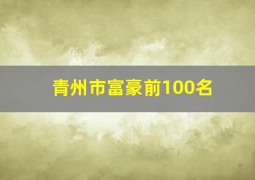 青州市富豪前100名