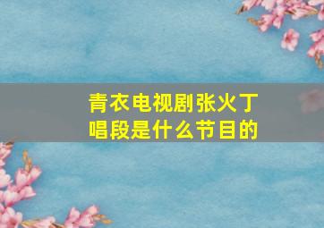 青衣电视剧张火丁唱段是什么节目的