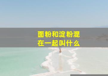 面粉和淀粉混在一起叫什么