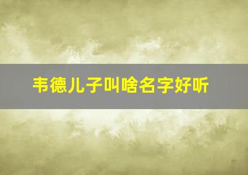 韦德儿子叫啥名字好听