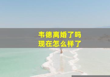 韦德离婚了吗现在怎么样了