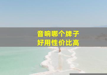 音响哪个牌子好用性价比高