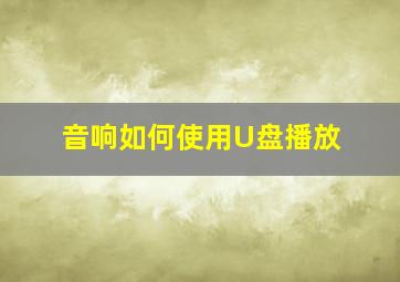 音响如何使用U盘播放