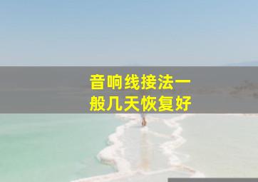 音响线接法一般几天恢复好