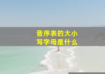 音序表的大小写字母是什么