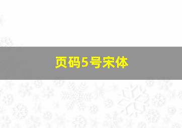 页码5号宋体