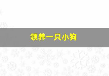 领养一只小狗