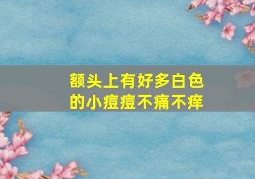 额头上有好多白色的小痘痘不痛不痒