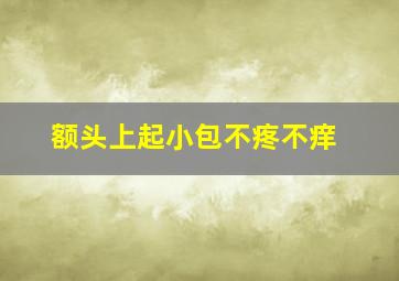 额头上起小包不疼不痒