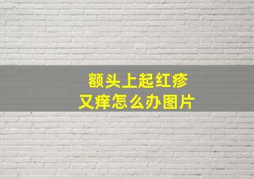 额头上起红疹又痒怎么办图片