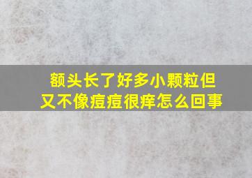 额头长了好多小颗粒但又不像痘痘很痒怎么回事