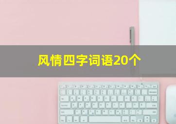 风情四字词语20个