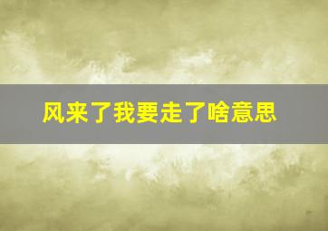 风来了我要走了啥意思